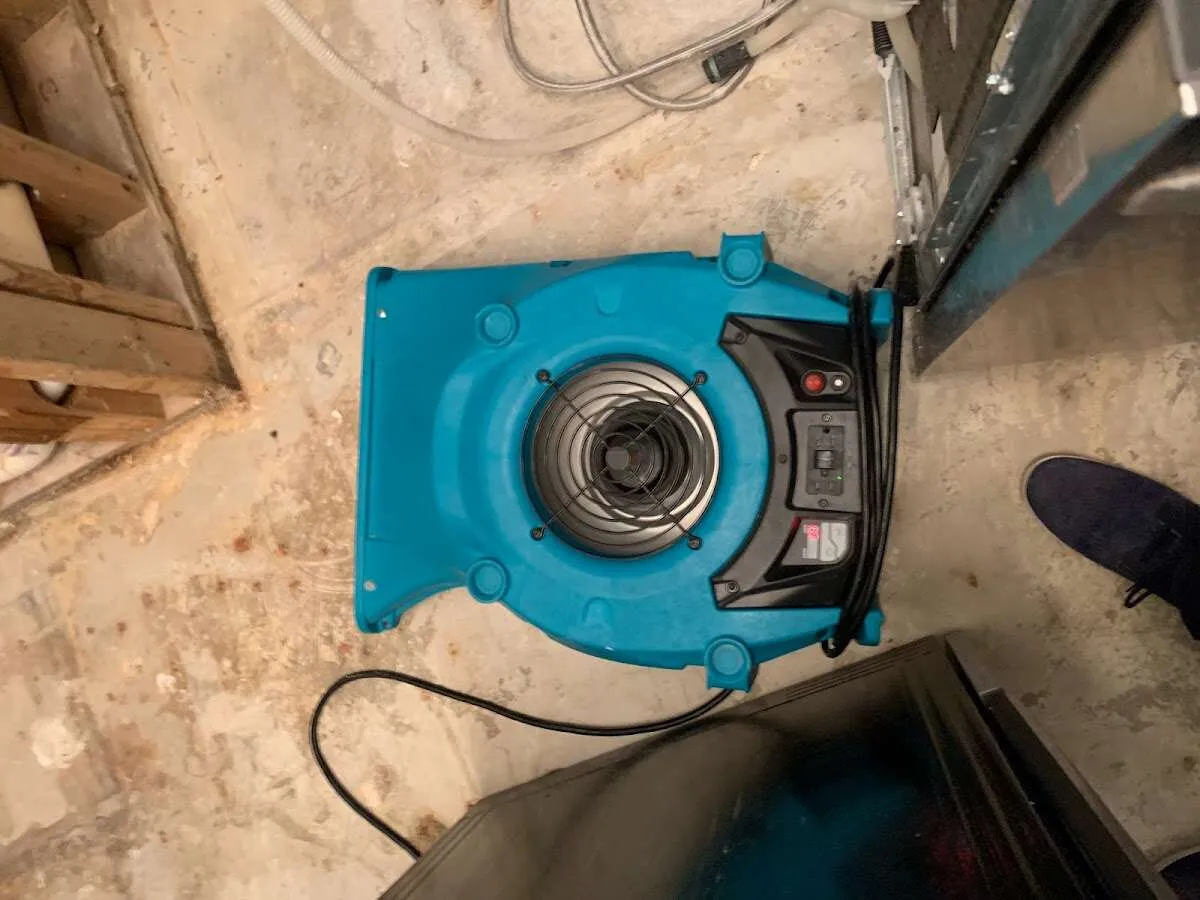 Air mover drying equipment for Mold Remediation & Removal in Plainville